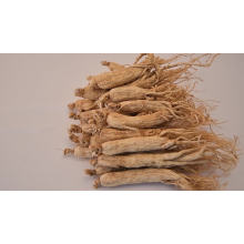 High quality pure natural factory wholesale pure dried ginseng herbal medicine